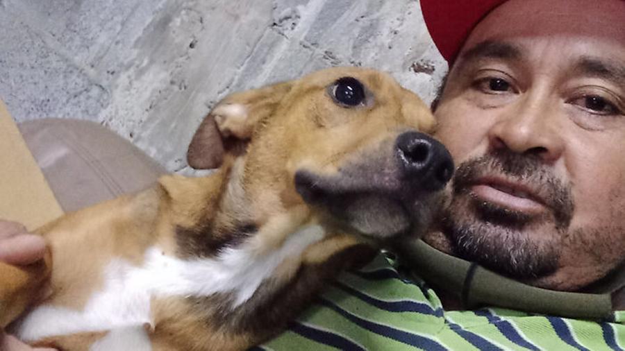 El hombre que rescata perros en México: lo mordió, pero no se rindió
