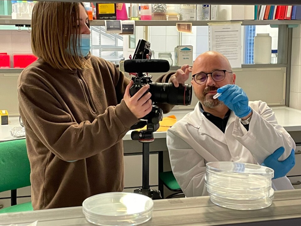 Universidad de Perugia, el laboratorio de biotecnología se convierte en un set de filmación