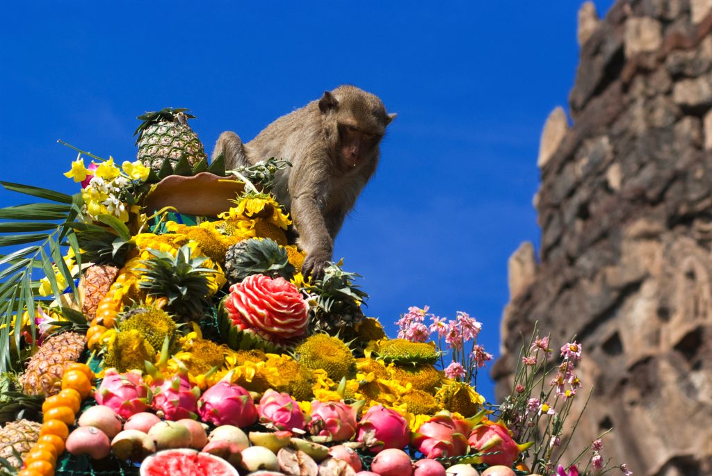 Los cinco festivales más "locos" del mundo incluyen rábanos, monos y naranjas